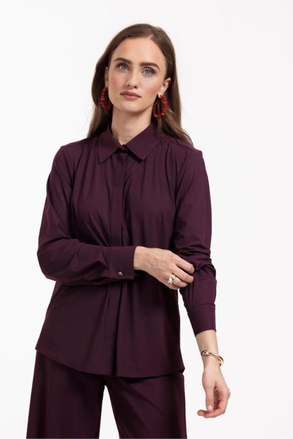 Bobby fancy blouse