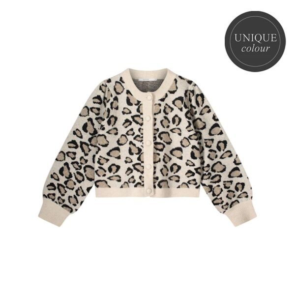 Knitted cardigan leopard jacqu