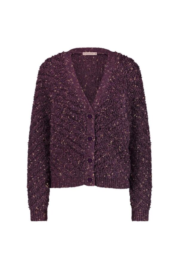 Iris chunky glitter cardigan